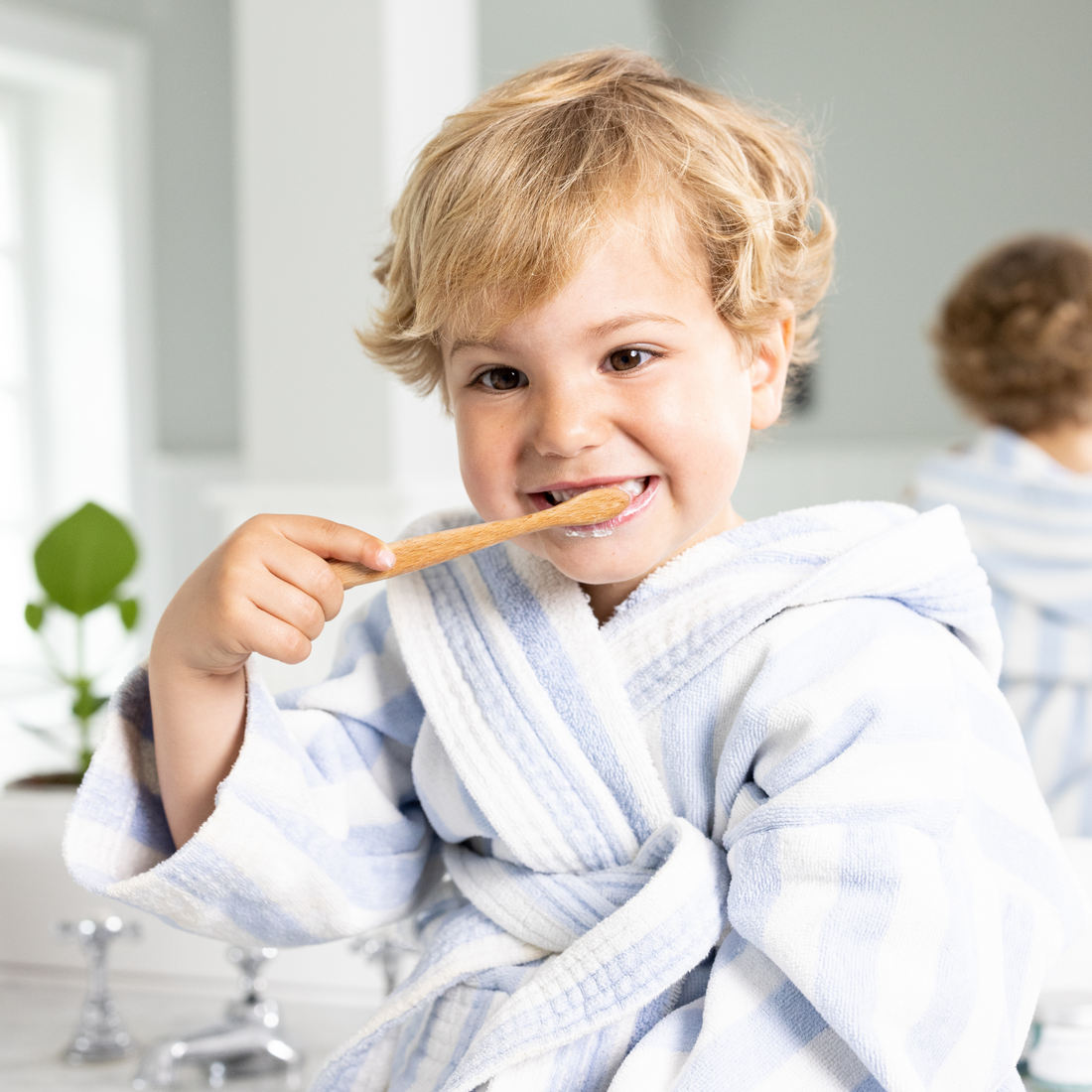 Recyclable Beechwood Toothbrush Kids