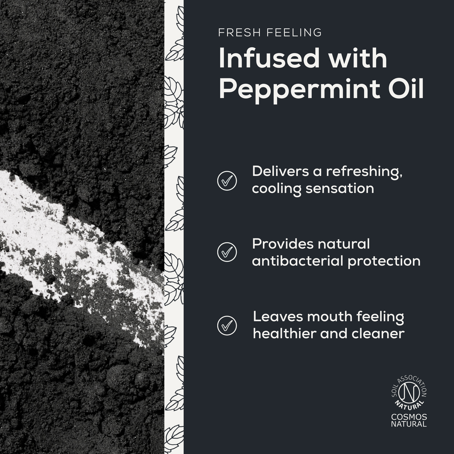 Whitening Mineral Toothpaste Powder - Activated Charcoal