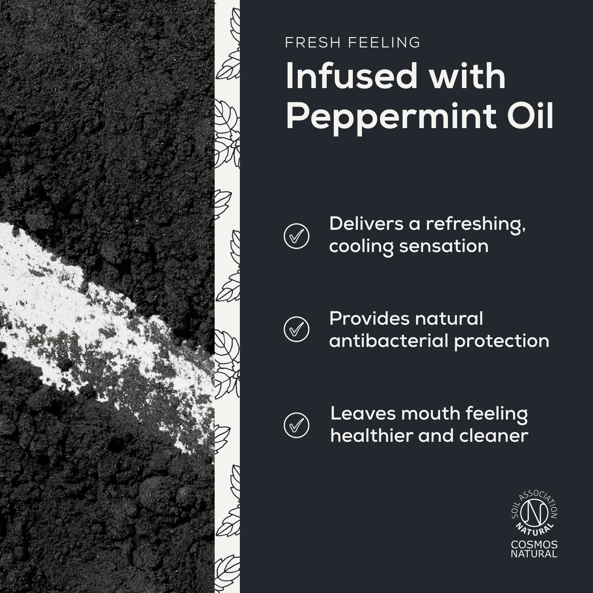 Whitening Mineral Toothpaste Powder - Activated Charcoal