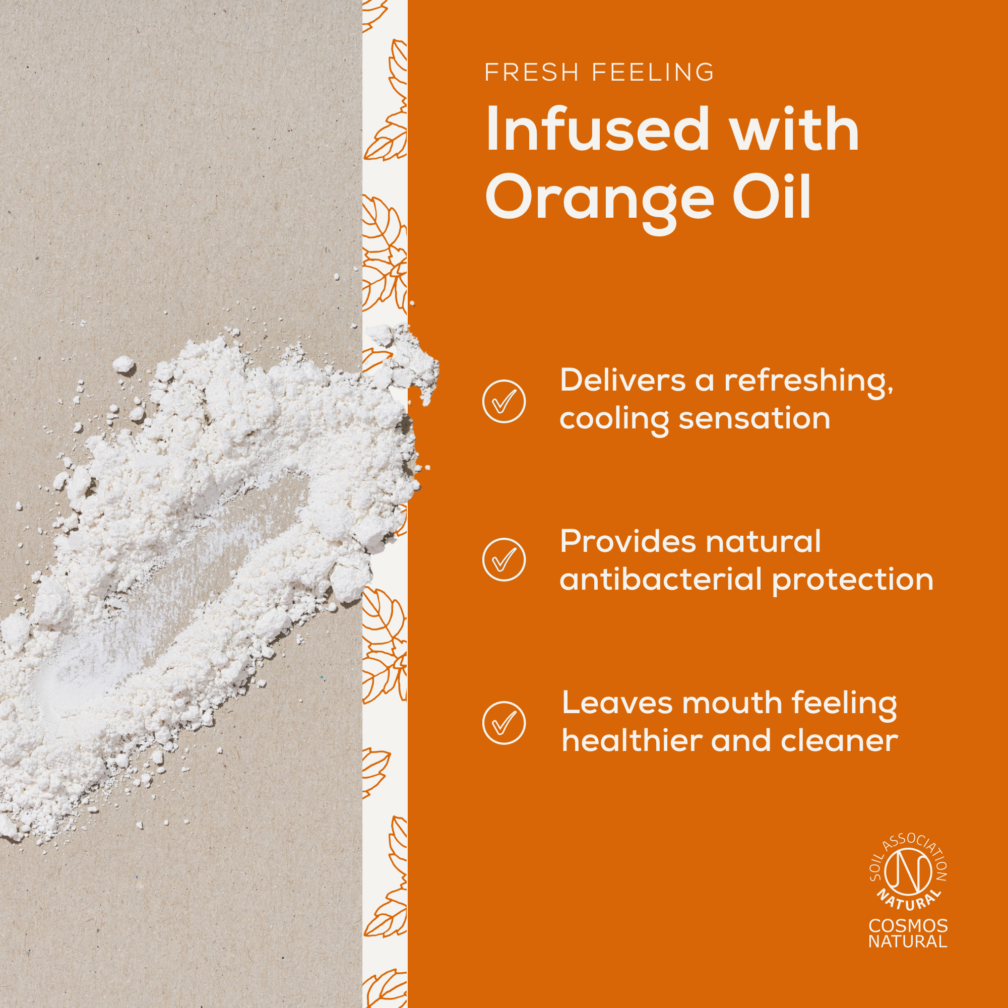 Whitening Mineral Toothpaste Powder - Orange