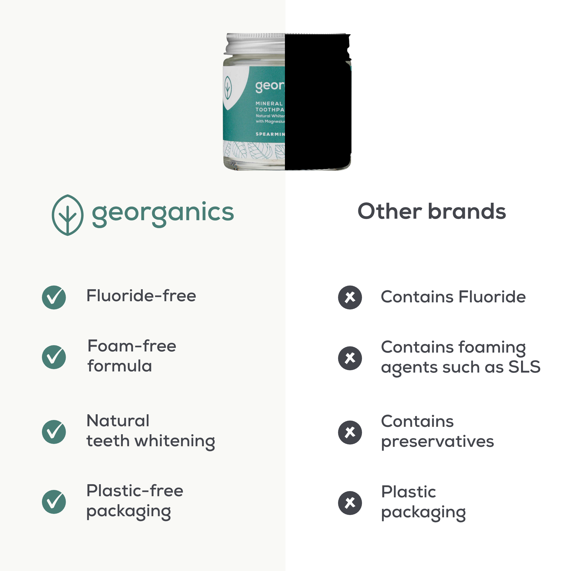Whitening Mineral Toothpaste Powder - Spearmint