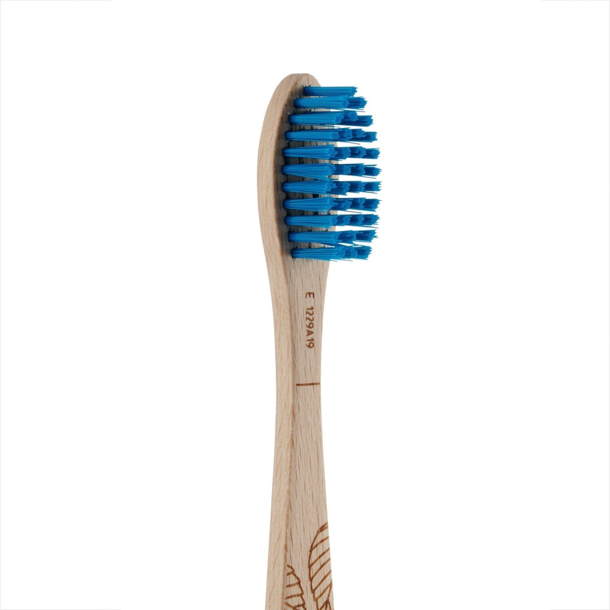 Beech Toothbrush - Firm Bristles - Georganics Oral Care