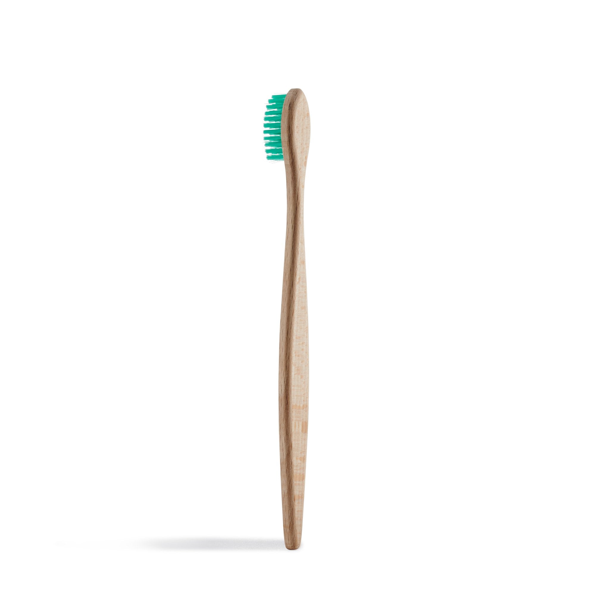 Beech Toothbrush - Medium Bristles - Georganics Oral Care