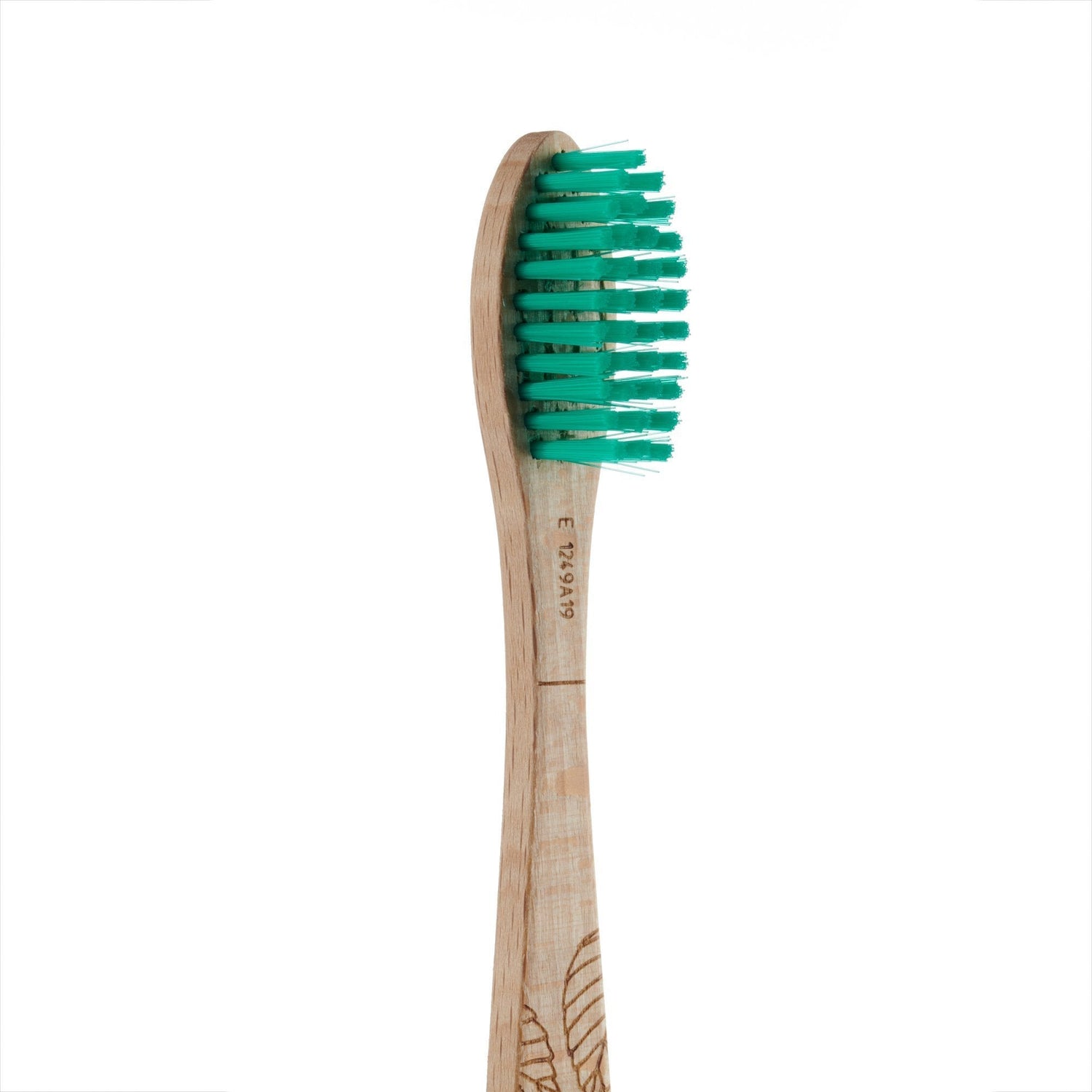 Beech Toothbrush - Medium Bristles - Georganics Oral Care