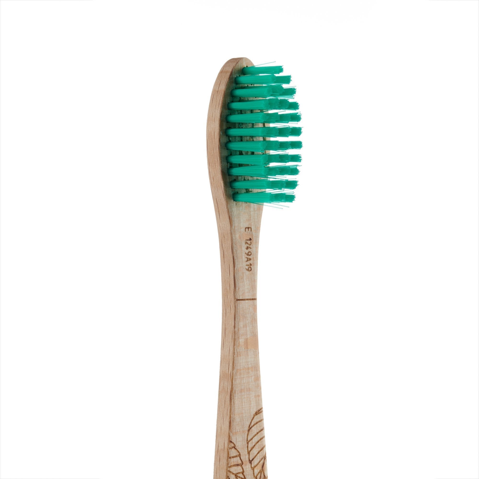 Beech Toothbrush - Medium Bristles - Georganics Oral Care