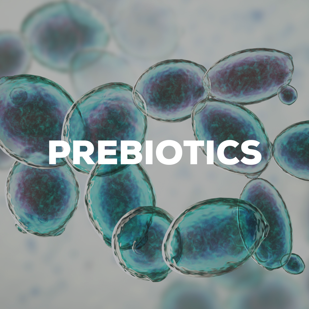 Prebiotics benefits -  Oral Care