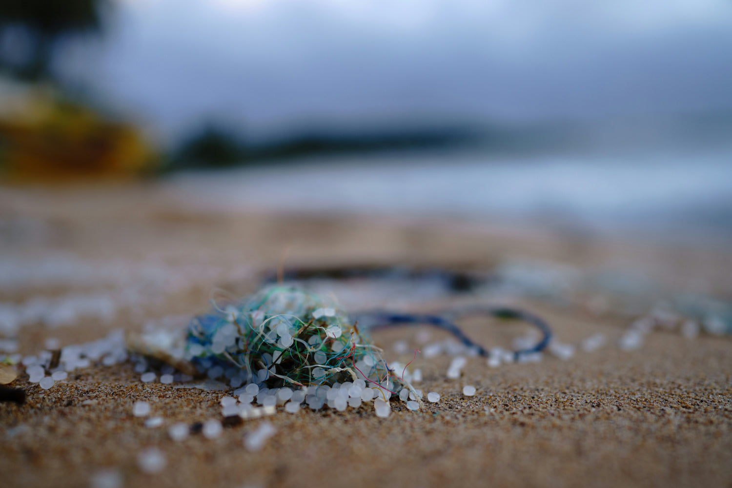 Recent law about the use of intentionally added microplastics
