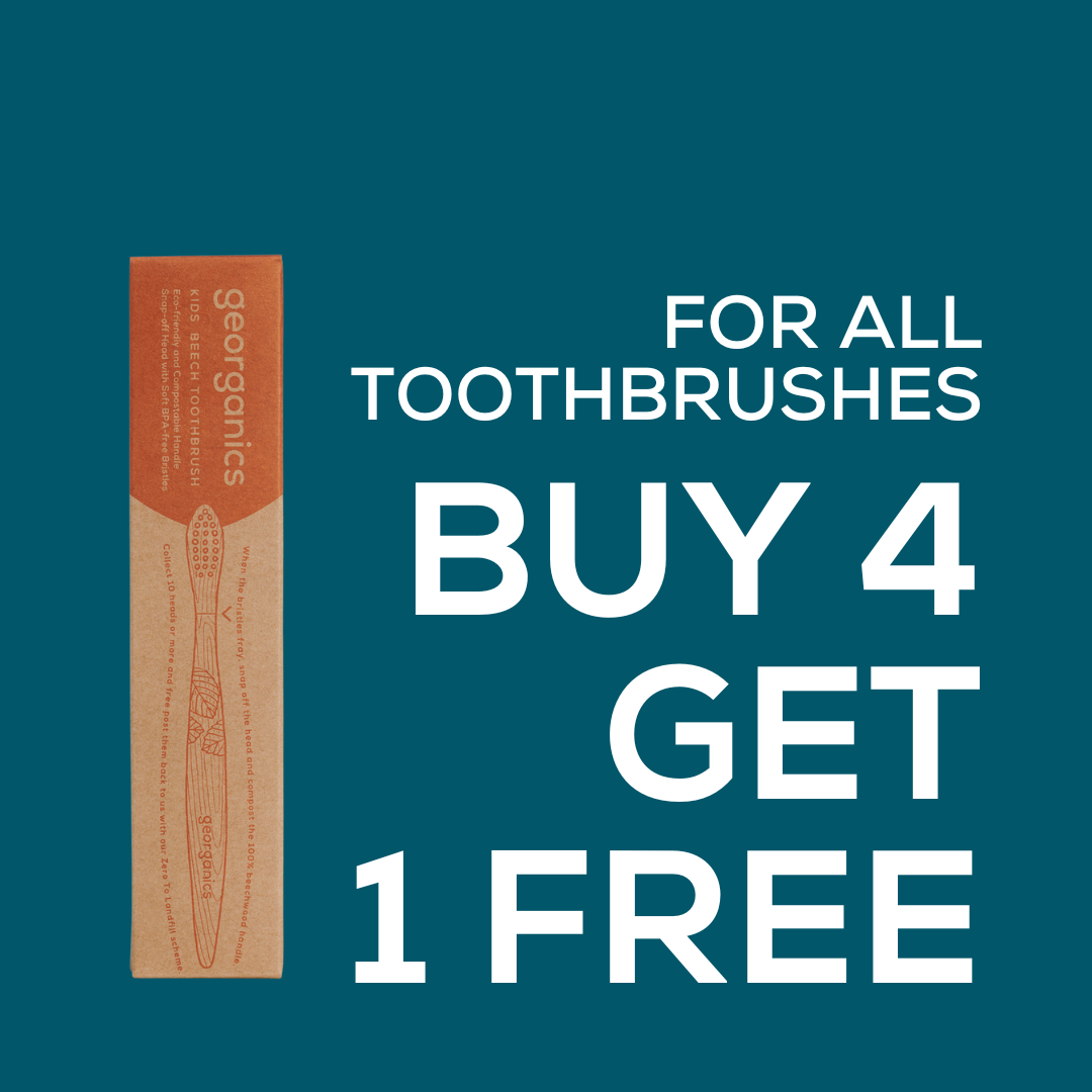 Bundle - Beechwood Toothbrushes Kids