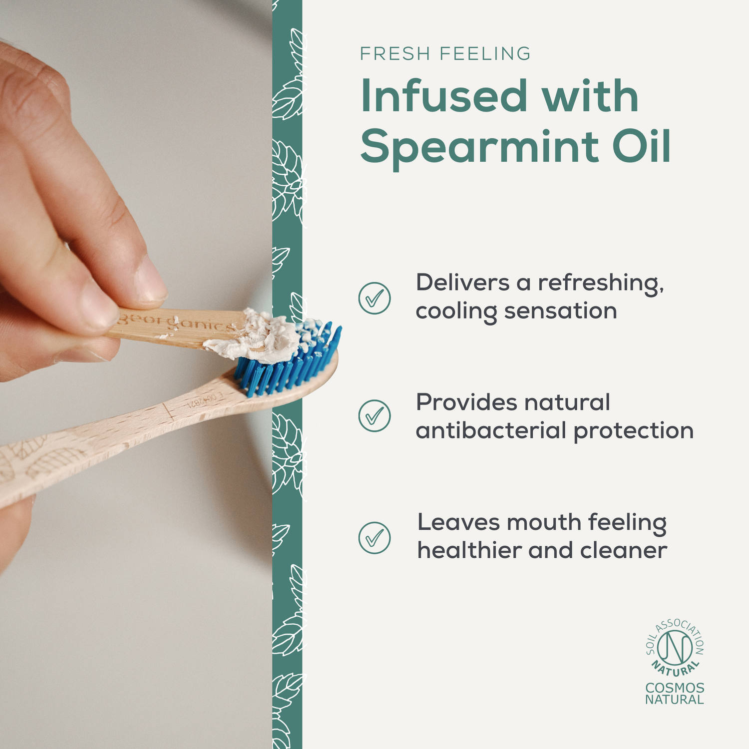 Natural Fluoride Free Toothpaste - Spearmint