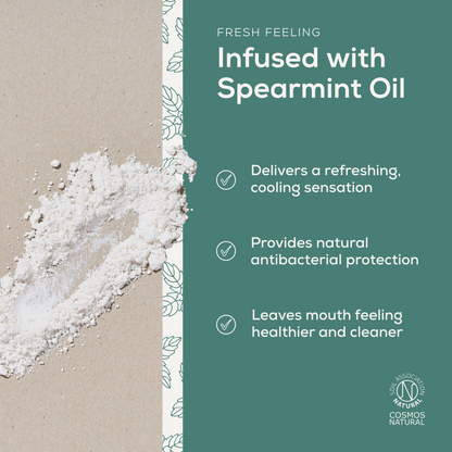 Whitening Mineral Toothpaste Powder - Spearmint